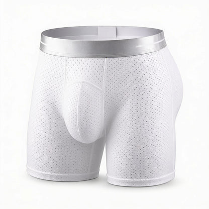 🔥 BEST DEAL 80% OFF TODAY🔥 2026 HOT SALE  AirFlexTM Premium Leakproof IceSilk Mesh Men's Boxer